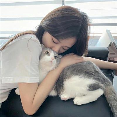 奇怪的搭档